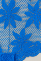 Azure Bloom